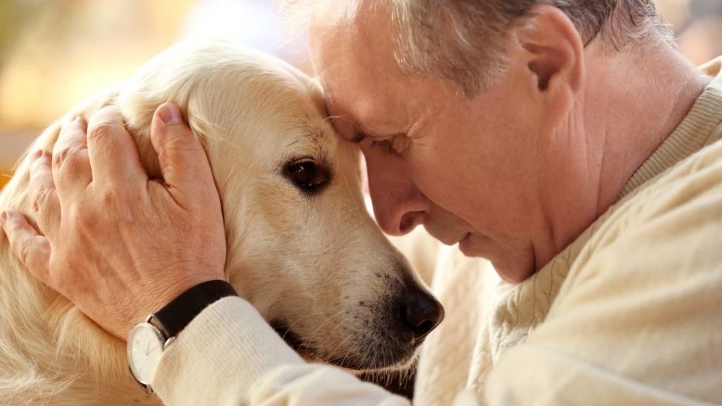 Beneficios de las mascotas en personas mayores