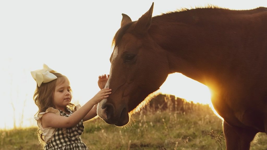 Equinoterapia, los caballos ayudan