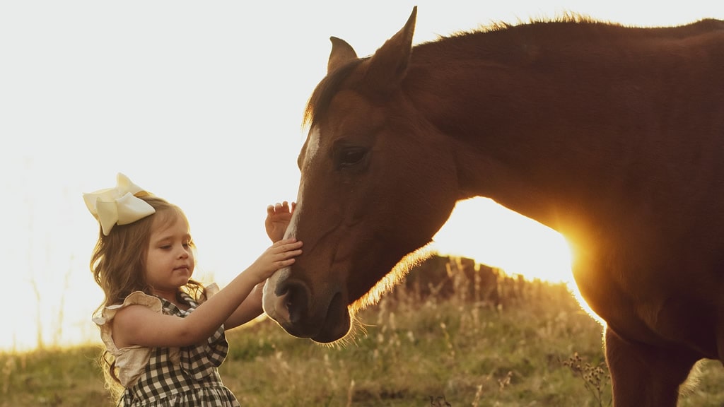 La equinoterapia: los caballos te ayudan