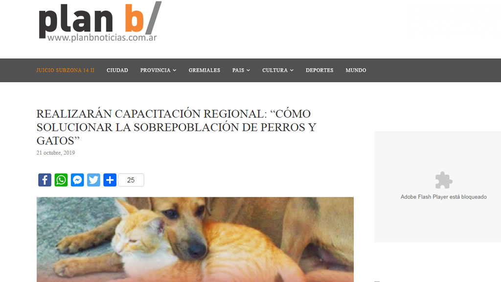 Plan B Noticias: Realizarán Capacitación Regional: “Cómo solucionar la sobrepoblación de perros y gatos”