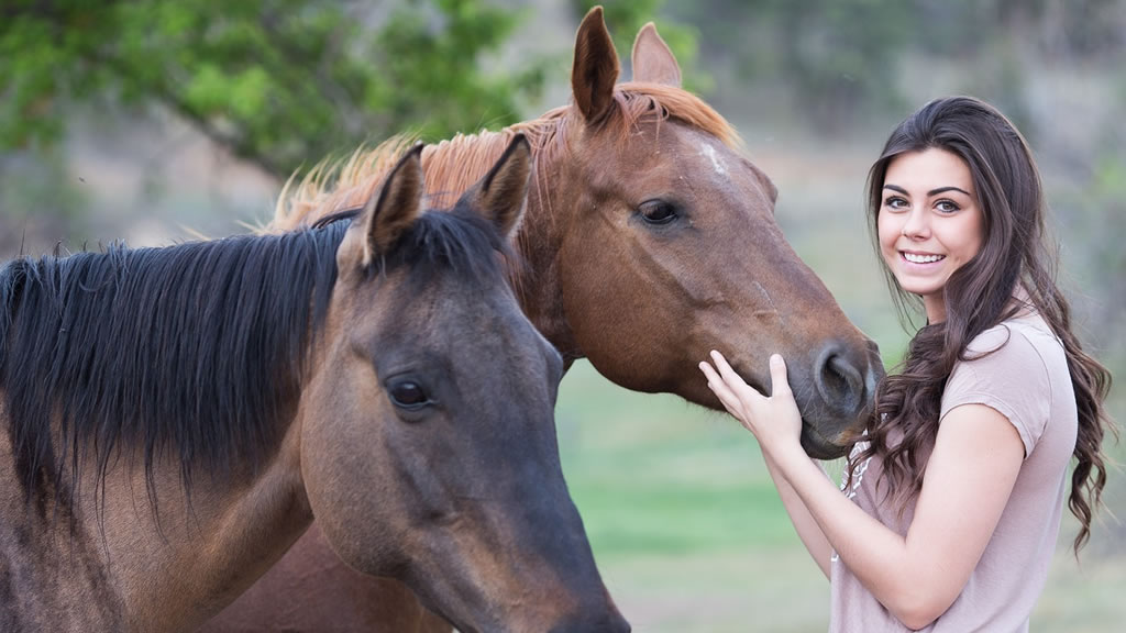 Cómo los caballos demuestran sus afectos