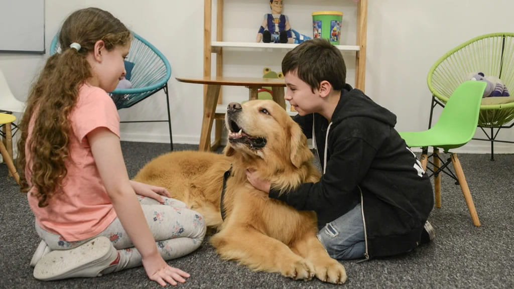 Titán y Brownie: los perros terapéuticos que trabajan con chicos abusados