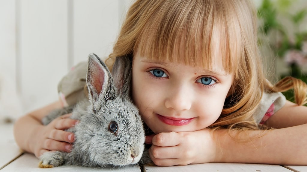 Cada vez más gente elige a los conejos como mascotas