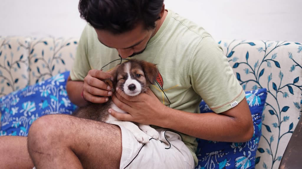 El contacto físico con mascotas ha salvado vidas durante el confinamiento