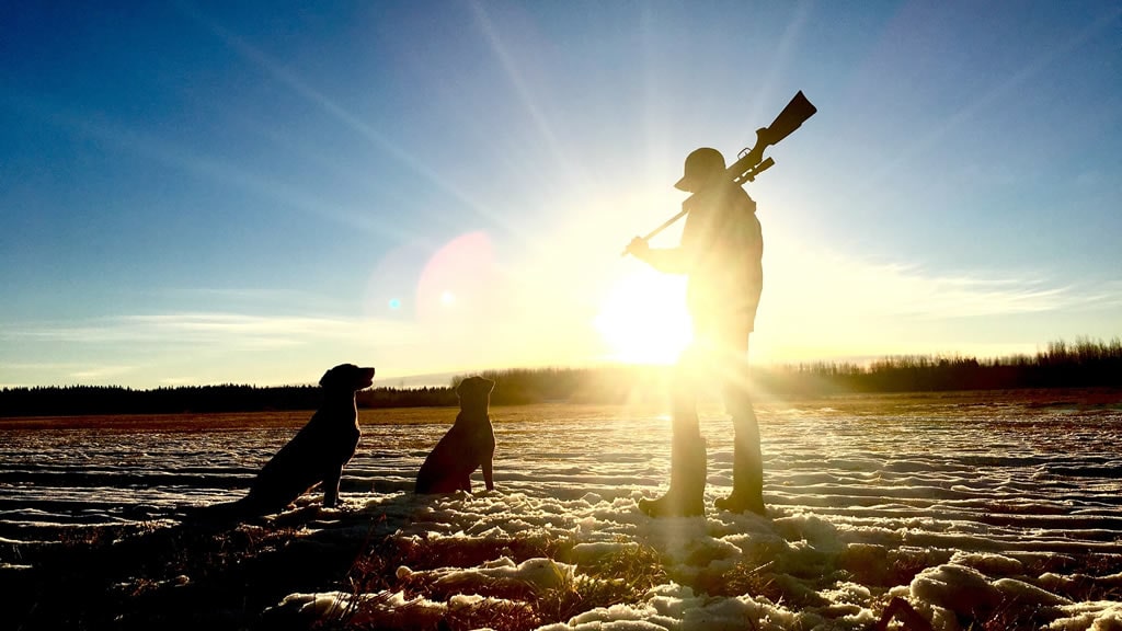 Proyecto de ley: hasta cuatro años de cárcel para quienes usen perros para cazar