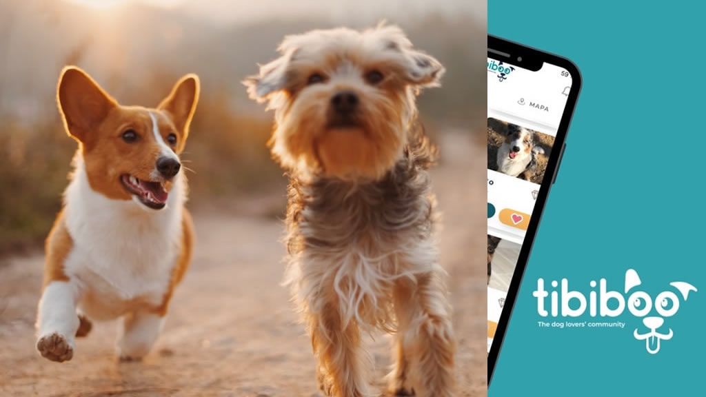 Crean una ‘app’ para cuidar canes y evitar así su abandono