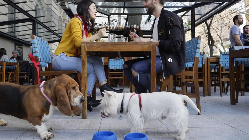 Negocios “pet friendly”: cada vez son más los que aceptan el ingreso de mascotas