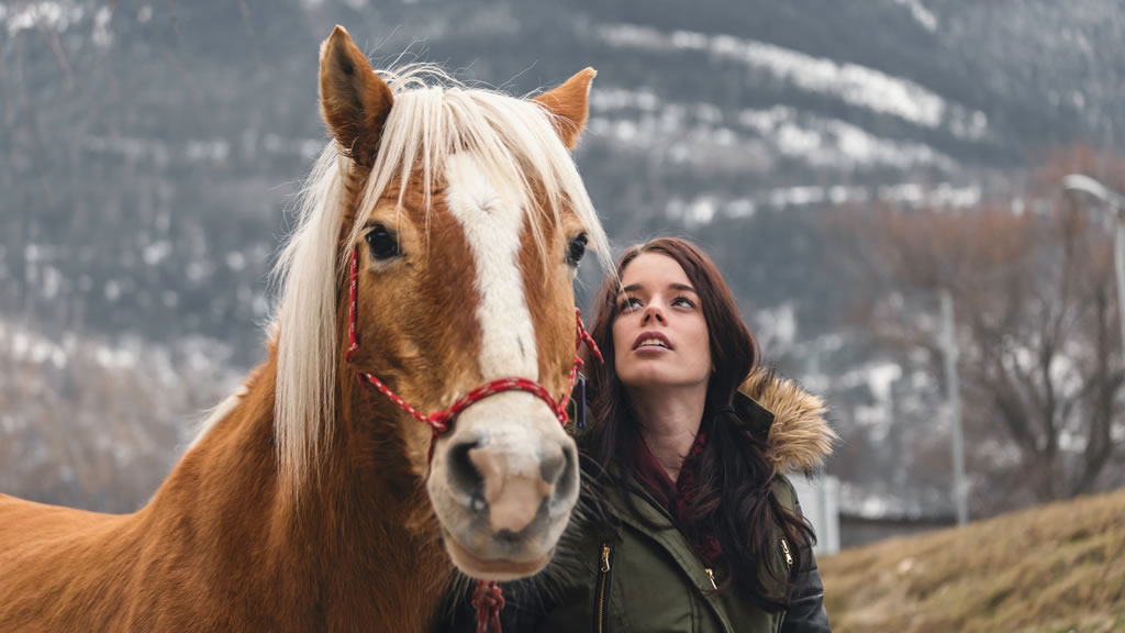 10 cosas que aprendí adoptando un caballo