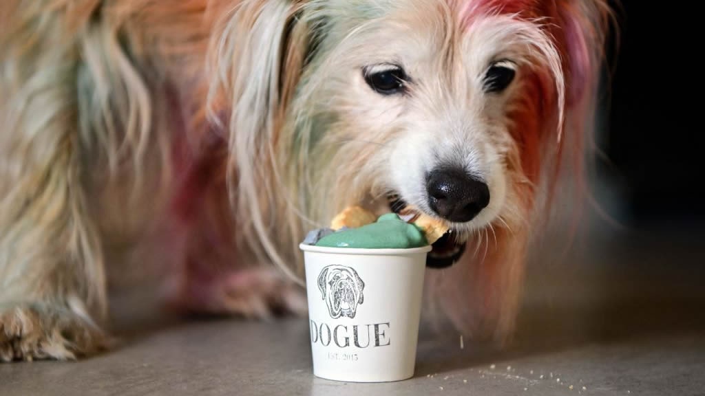 Un restaurante de San Francisco es únicamente para perros y tiene un menú de 75 euros