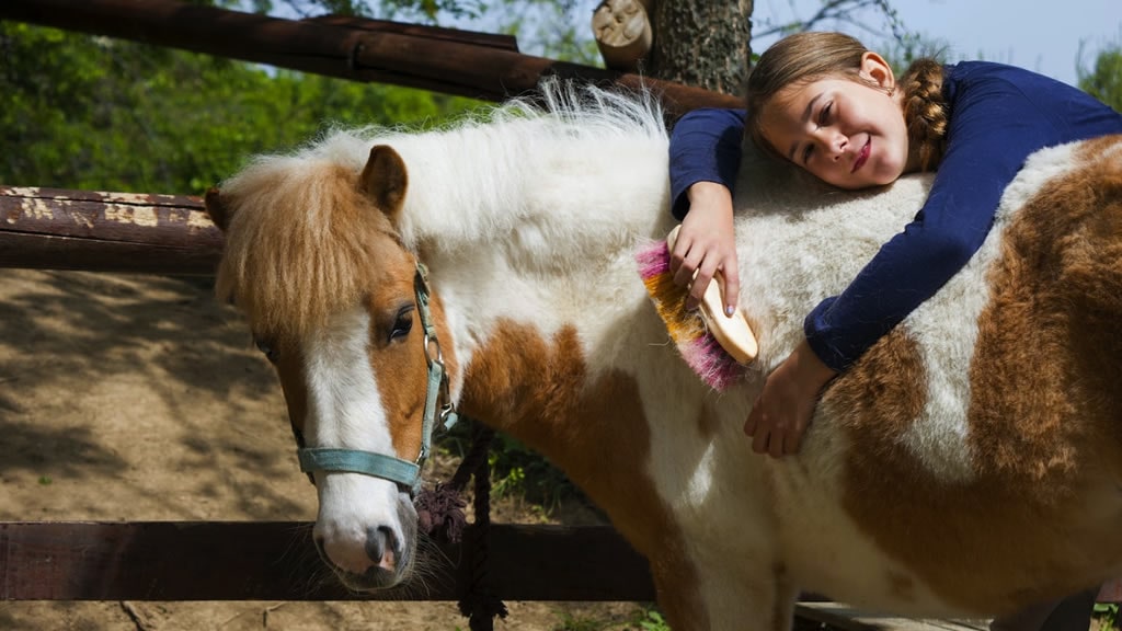 Equinoterapia (terapia con caballos): qué es y para qué sirve