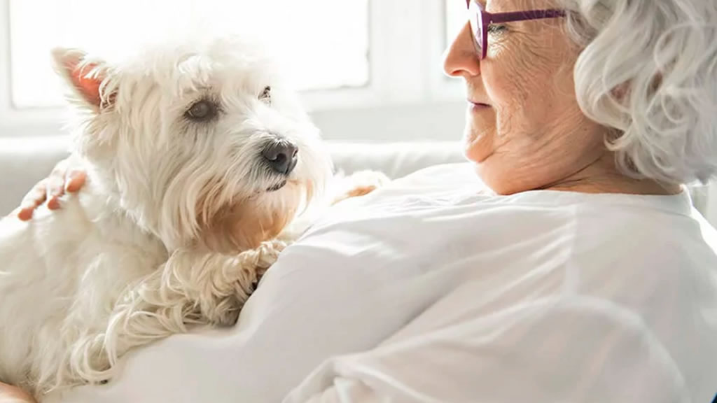 Tener una mascota podría reducir el deterioro cognitivo de las personas mayores