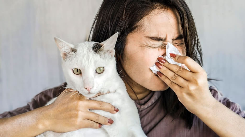 Soy alérgico a mi gato, ¿qué puedo hacer?